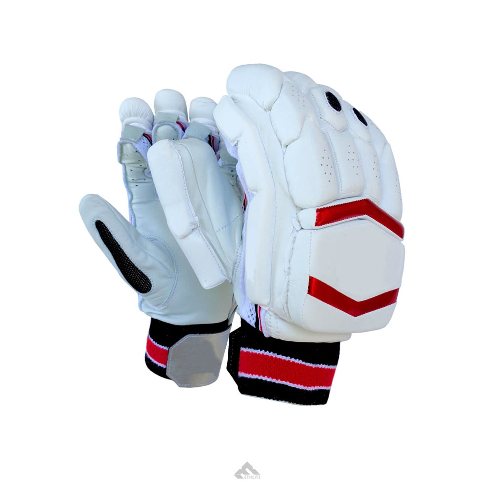 Cricket Gloves